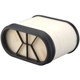 Purchase Top-Quality Air Filter by FRAM - CA10270 pa4