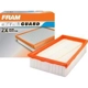 Purchase Top-Quality FRAM - CA10346 - Air Filter pa2