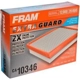 Purchase Top-Quality FRAM - CA10346 - Air Filter pa3