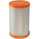 Purchase Top-Quality FRAM - CA10616 - Air Filter pa1