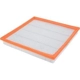 Purchase Top-Quality FRAM - CA10989 - Air Filter pa5