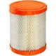 Purchase Top-Quality FRAM - CA11048 - Air Filter pa4