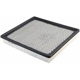 Purchase Top-Quality Air Filter by FRAM - CA11251 pa1