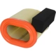 Purchase Top-Quality Air Filter by FRAM - CA12182 pa2