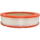 Purchase Top-Quality Air Filter by FRAM - CA133 pa1