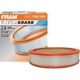 Purchase Top-Quality FRAM - CA136 - Air Filter pa2