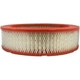 Purchase Top-Quality Air Filter by FRAM - CA176 pa1