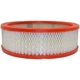 Purchase Top-Quality Air Filter by FRAM - CA187 pa1