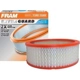 Purchase Top-Quality FRAM - CA192 - Air Filter pa2