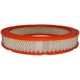 Purchase Top-Quality Air Filter by FRAM - CA2719B pa1
