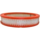 Purchase Top-Quality Air Filter by FRAM - CA303 pa1