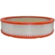 Purchase Top-Quality Air Filter by FRAM - CA305 pa1