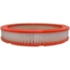 Purchase Top-Quality Air Filter by FRAM - CA3300 pa1