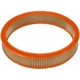 Purchase Top-Quality Air Filter by FRAM - CA342 pa1