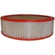 Purchase Top-Quality Air Filter by FRAM - CA3492 pa1