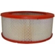 Purchase Top-Quality Air Filter by FRAM - CA3501 pa1