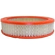 Purchase Top-Quality Air Filter by FRAM - CA352 pa1