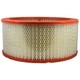 Purchase Top-Quality Air Filter by FRAM - CA3549 pa1