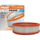 Purchase Top-Quality Air Filter by FRAM - CA3647 pa2
