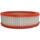 Purchase Top-Quality Air Filter by FRAM - CA3647 pa4