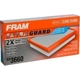 Purchase Top-Quality FRAM - CA3660 - Air Filter pa4