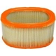 Purchase Top-Quality Air Filter by FRAM - CA3785 pa1