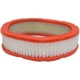 Purchase Top-Quality Air Filter by FRAM - CA3814 pa1