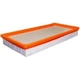 Purchase Top-Quality FRAM - CA3901 - Air Filter pa2