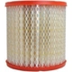 Purchase Top-Quality FRAM - CA3902 - Air Filter pa1