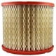 Purchase Top-Quality Air Filter by FRAM - CA3924 pa1