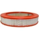 Purchase Top-Quality Air Filter by FRAM - CA6334 pa1