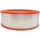 Purchase Top-Quality Air Filter by FRAM - CA7096 pa1
