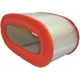 Purchase Top-Quality Air Filter by FRAM - CA7438 pa1
