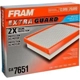 Purchase Top-Quality FRAM - CA7651 - Air Filter pa3