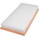 Purchase Top-Quality Air Filter by FRAM - CA8127 pa2