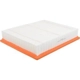 Purchase Top-Quality FRAM - CA8755A - Air Filter pa2