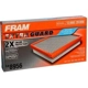 Purchase Top-Quality FRAM - CA8956 - Air Filter pa3