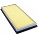 Purchase Top-Quality FRAM - CA9113 - Air Filter pa1