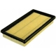 Purchase Top-Quality Air Filter by FRAM - CA9277 pa1