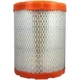 Purchase Top-Quality FRAM - CA9345 - Air Filter pa1