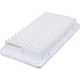 Purchase Top-Quality FRAM - CA9482 - Air Filter pa2