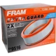Purchase Top-Quality FRAM - CA9516 - Air Filter pa3