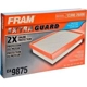 Purchase Top-Quality FRAM - CA9875 - Air Filter pa3