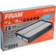 Purchase Top-Quality FRAM - CA9894 - Air Filter pa3