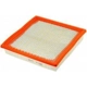 Purchase Top-Quality Air Filter by FRAM - CA9895 pa1