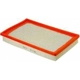 Purchase Top-Quality Air Filter by FRAM - CA9948 pa1