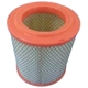 Purchase Top-Quality G.K. INDUSTRIES - AF10784 - Air Filter pa1