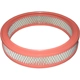 Purchase Top-Quality G.K. INDUSTRIES - AF303 - Air Filter pa1