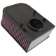 Purchase Top-Quality K & N ENGINEERING - E0660 - Air Filter pa8