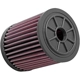 Purchase Top-Quality K & N ENGINEERING - E1983 - Air Filter pa6
